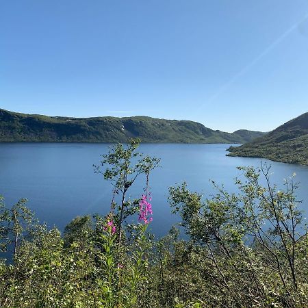Hoyanger 3 Roms Leilighet Buitenkant foto